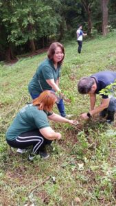 Growing a Greener Tomorrow: Tree Planting Project — GML photo 1